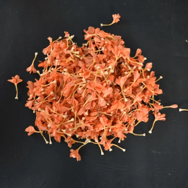 Kangambaram / Kanakambaram (Loose)