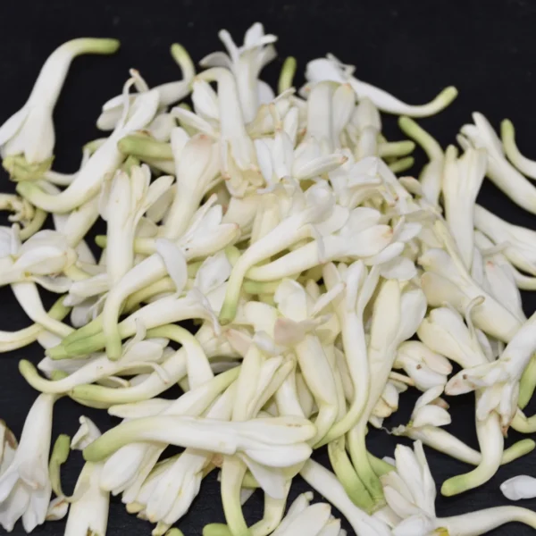 Lily/Sampangi (Loose) - Small - Image 3