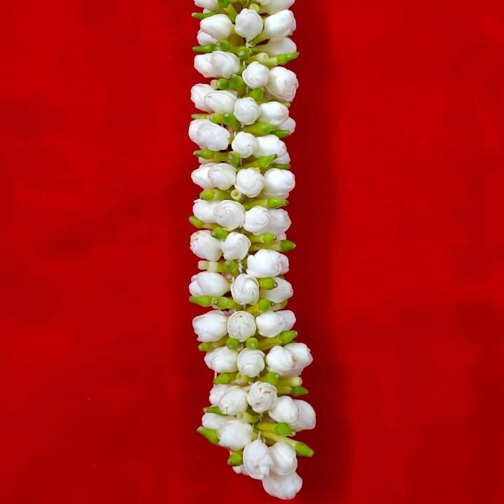 Nandivardana String