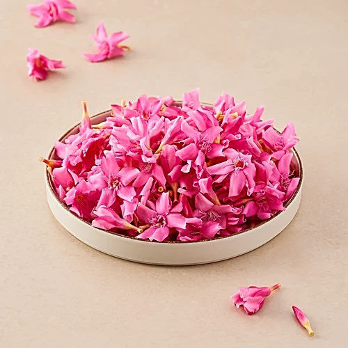 Pink Ganneru_2